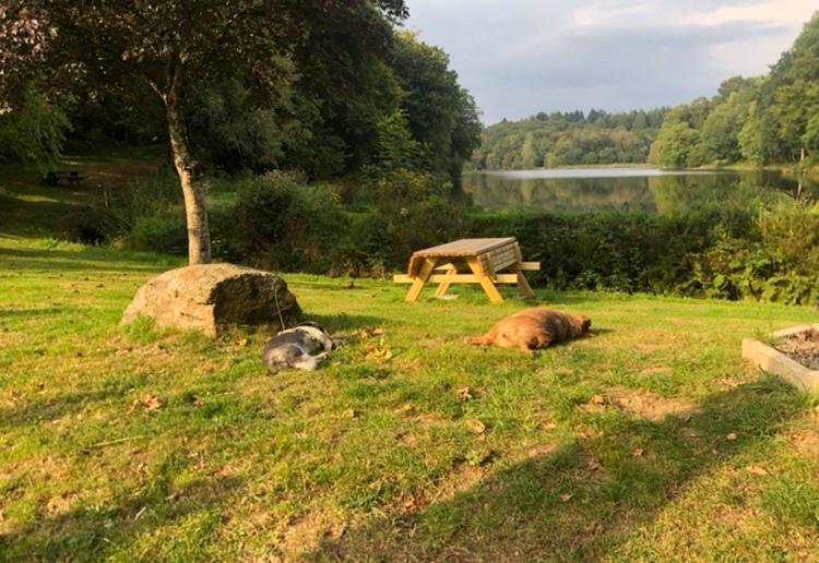 La Forge B&B Perret  Zewnętrze zdjęcie